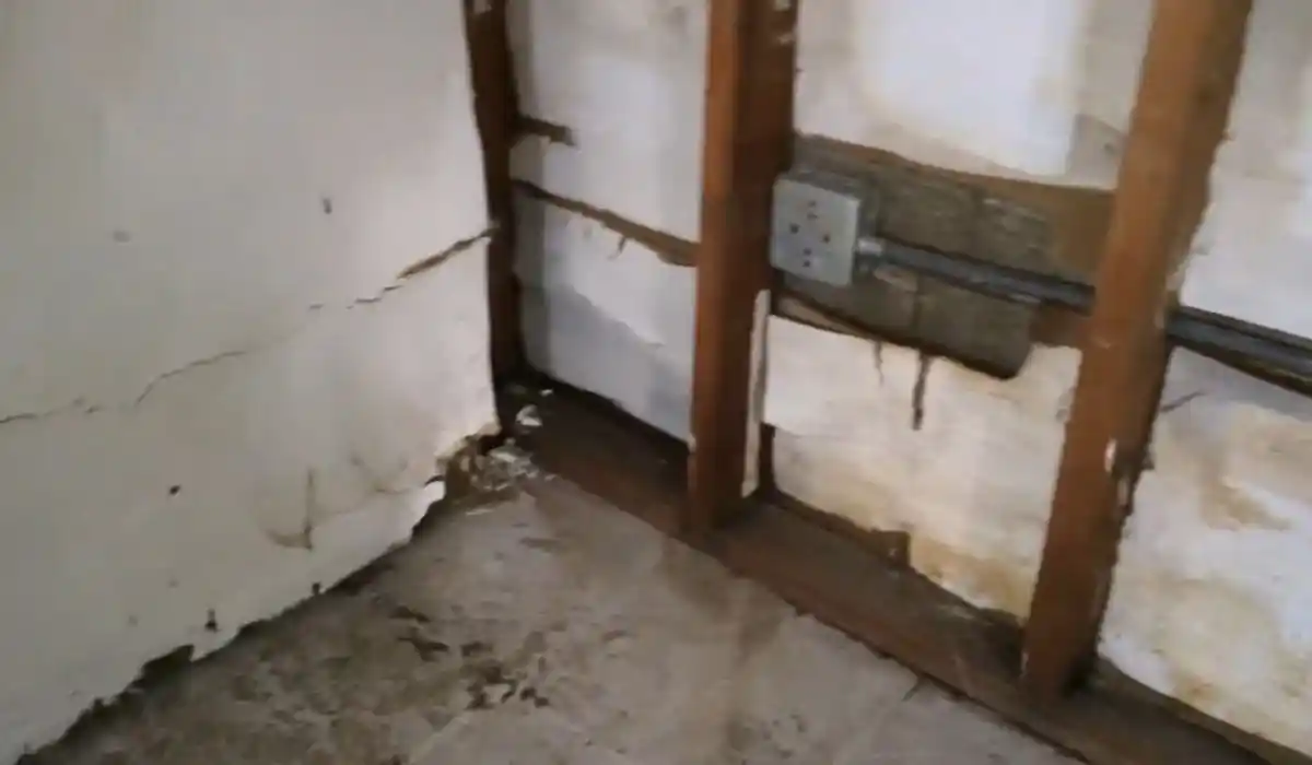 Licensed mold remediation technician in full containment during a mold remediation job in Islip, NY