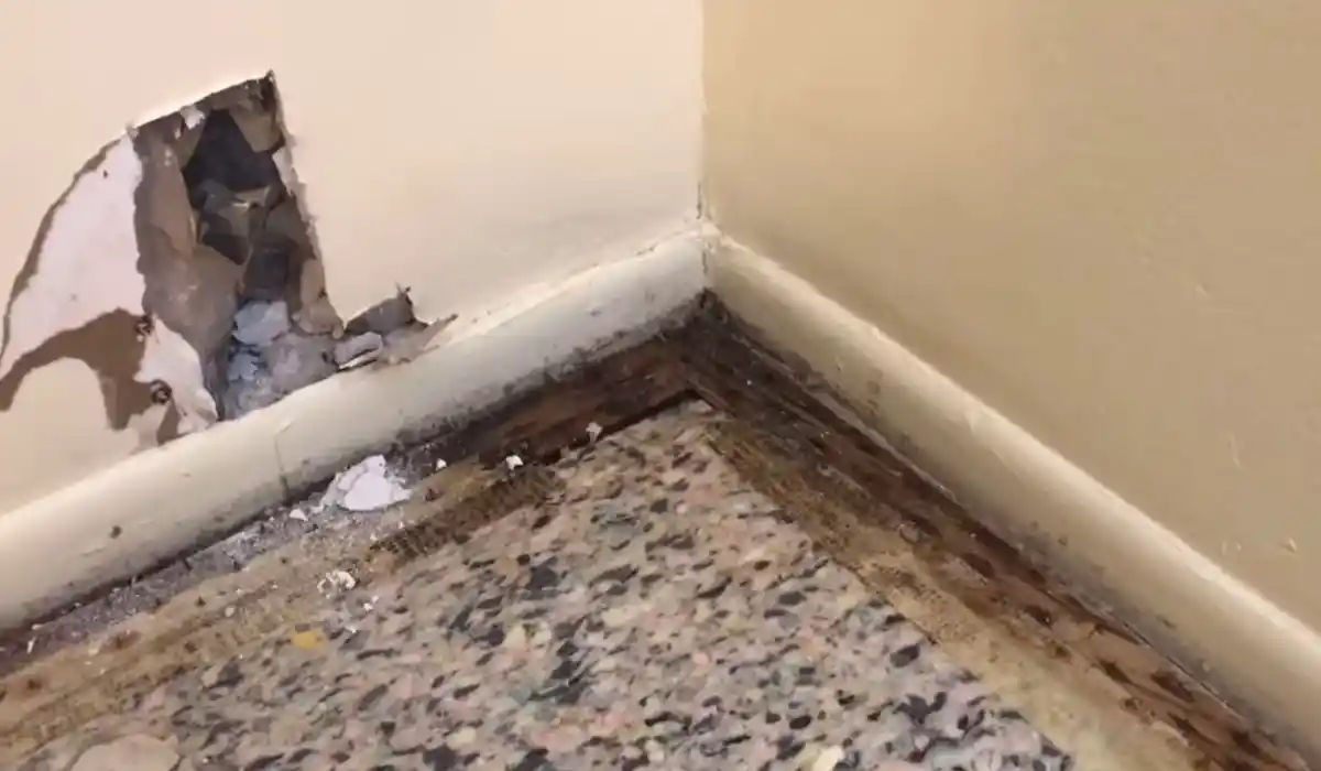 Mold removal technician clearing affected material under containment in Islip, NY